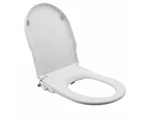 Non Electric Bidet Toilet Seat D Cover Bathroom Dual Nozzle Spray Water Wash