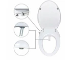 Non Electric Bidet Toilet Seat D Cover Bathroom Dual Nozzle Spray Water Wash