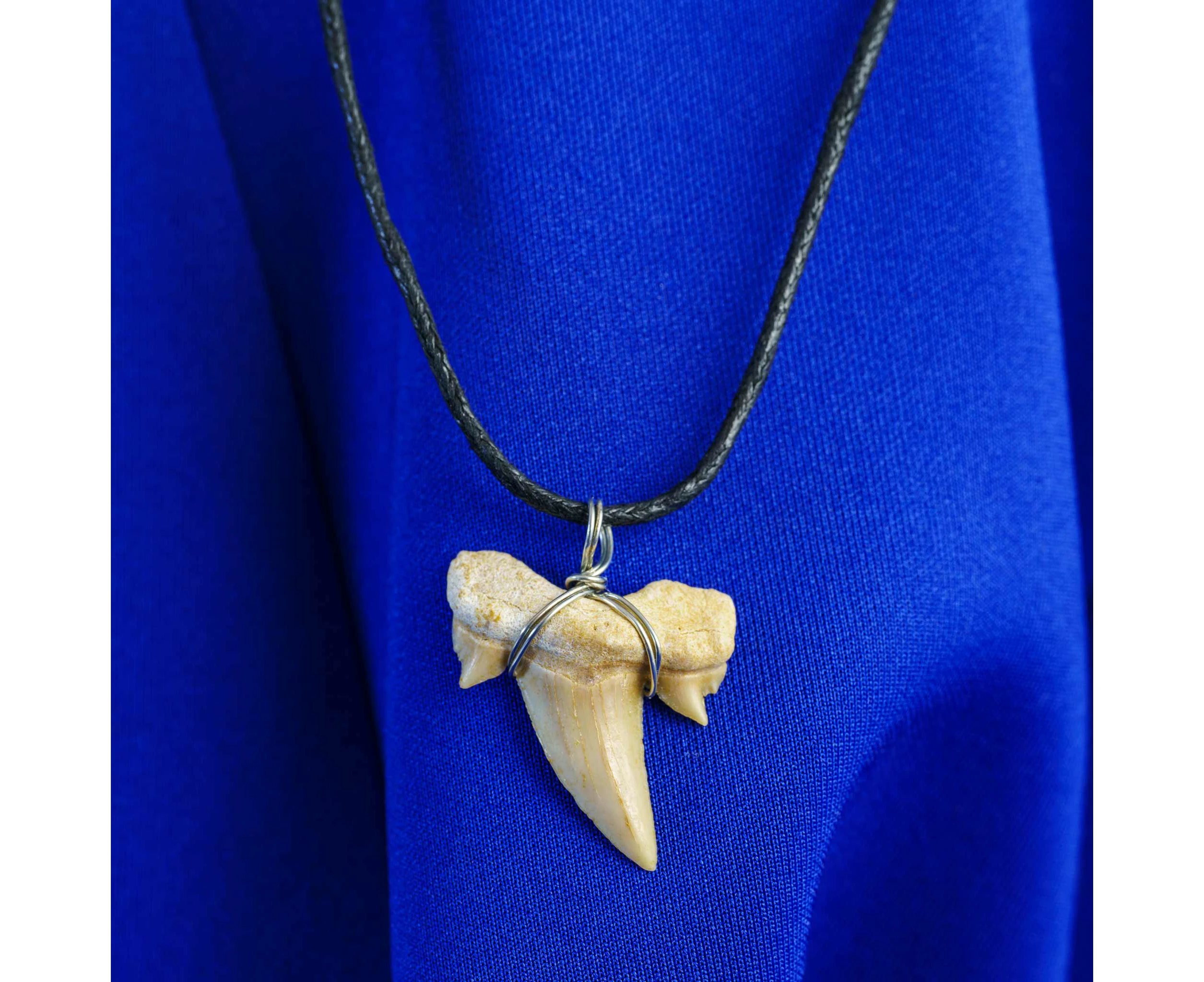 Fossil Shark Tooth Pendant