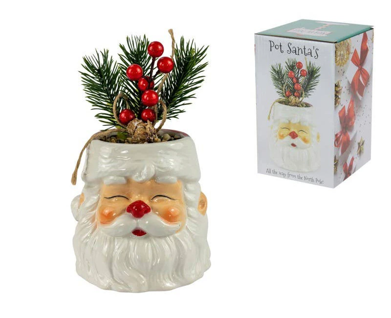 Santa Pot with Xmas Berry Plant, 11cm (Gift Box) - Christmas Decoration