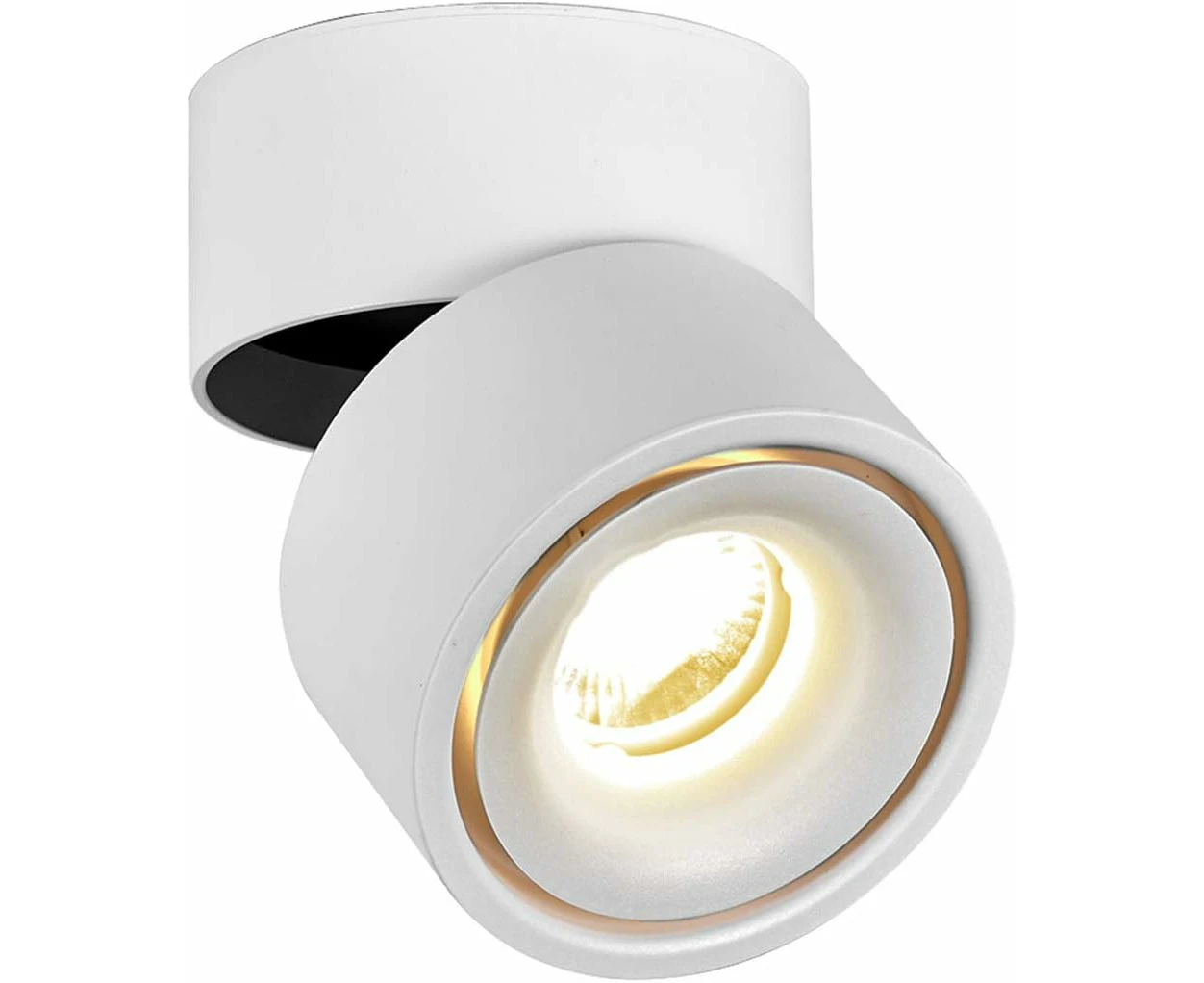 7W Led Ceiling Light, Adjustable Lighting Angle, Indoor Ceiling Light, 10*10*10 (White+Warm White)