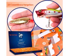 WSECOMM  Advent Calendar Fishing Christmas Countdown - 24 Days Fishing Lures Set for Fisher Adult Men Teen Boys - 2024 Xmas Surprise Gift