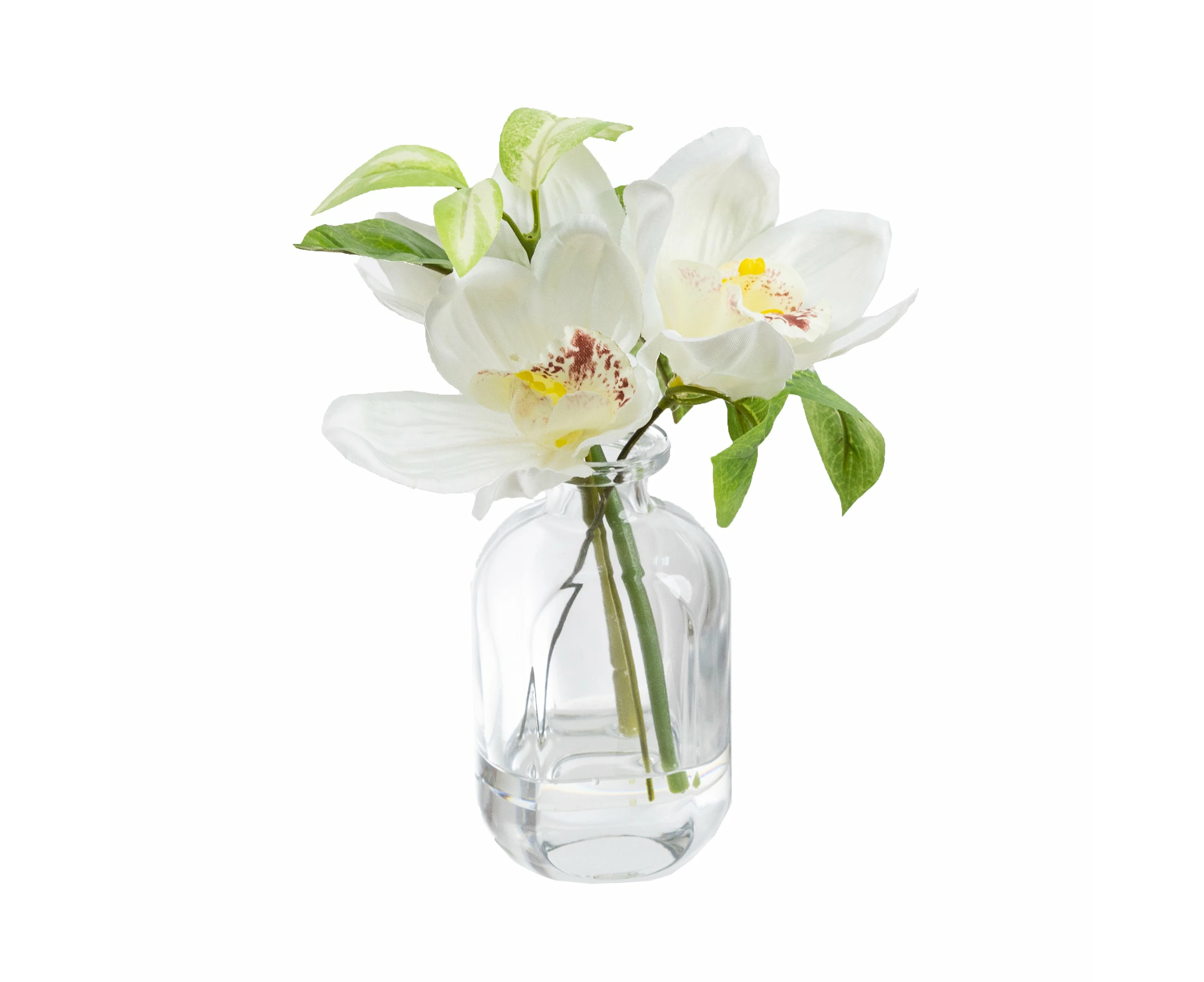 Glamorous Fusion Cymbidium Orchid Artificial Faux Plant Flower Decorative 22cm In Bottle Vase