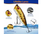 Fishing Lure Advent Calendar,24 Days Xmas Countdown Gift for Anglers with Topwater Lures,Minnow,Crankbait,VIB