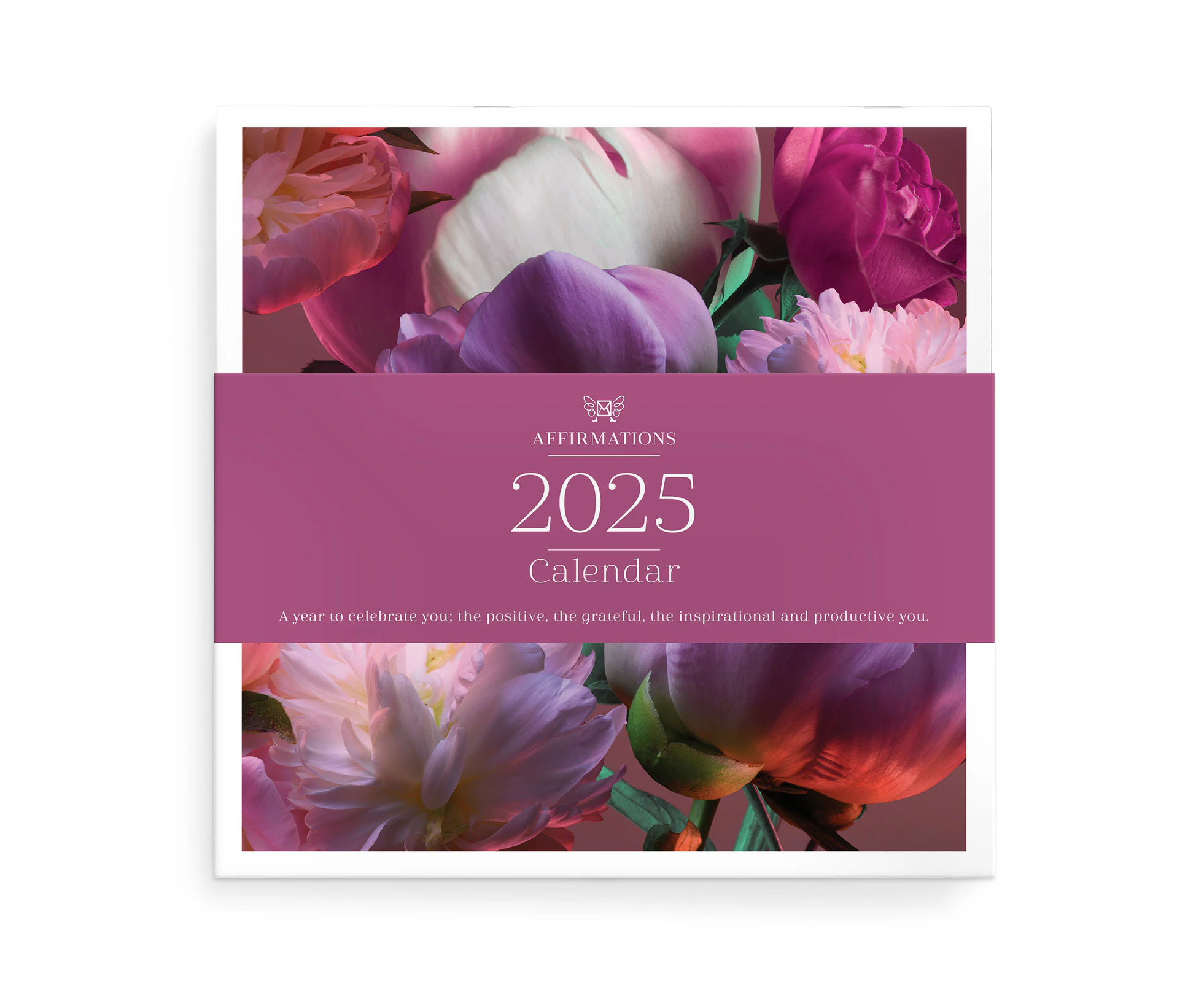 2025 Calendar Affirmations Square Wall AFFCAL25