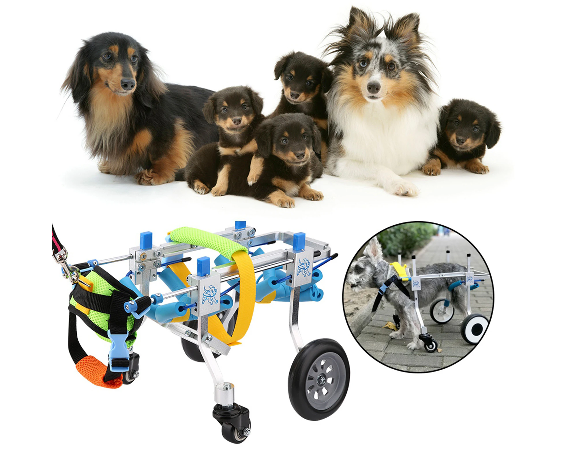 Four Wheels Adjustable Dog Wheelchair ForE Leg Rehabilitation Cart Paralyzed Pet Walk Assistant