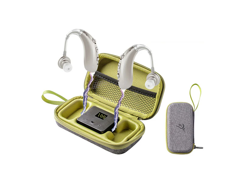 Hearing Aids for Seniors Rechargeable Invisible Hearing Aid with Charging Bag Ear Sound Amplifier(Silver)