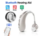 Hearing Aids for Seniors Rechargeable Invisible Hearing Aid with Charging Bag Ear Sound Amplifier(Silver)