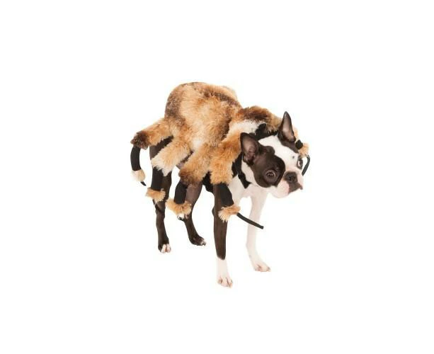 Bristol Novelty Spider Dog Costume