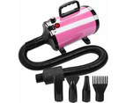 FLOOFI Versatile Nozzles Noise Reduction Advance Button Version Pet Hair Dryer - Pink