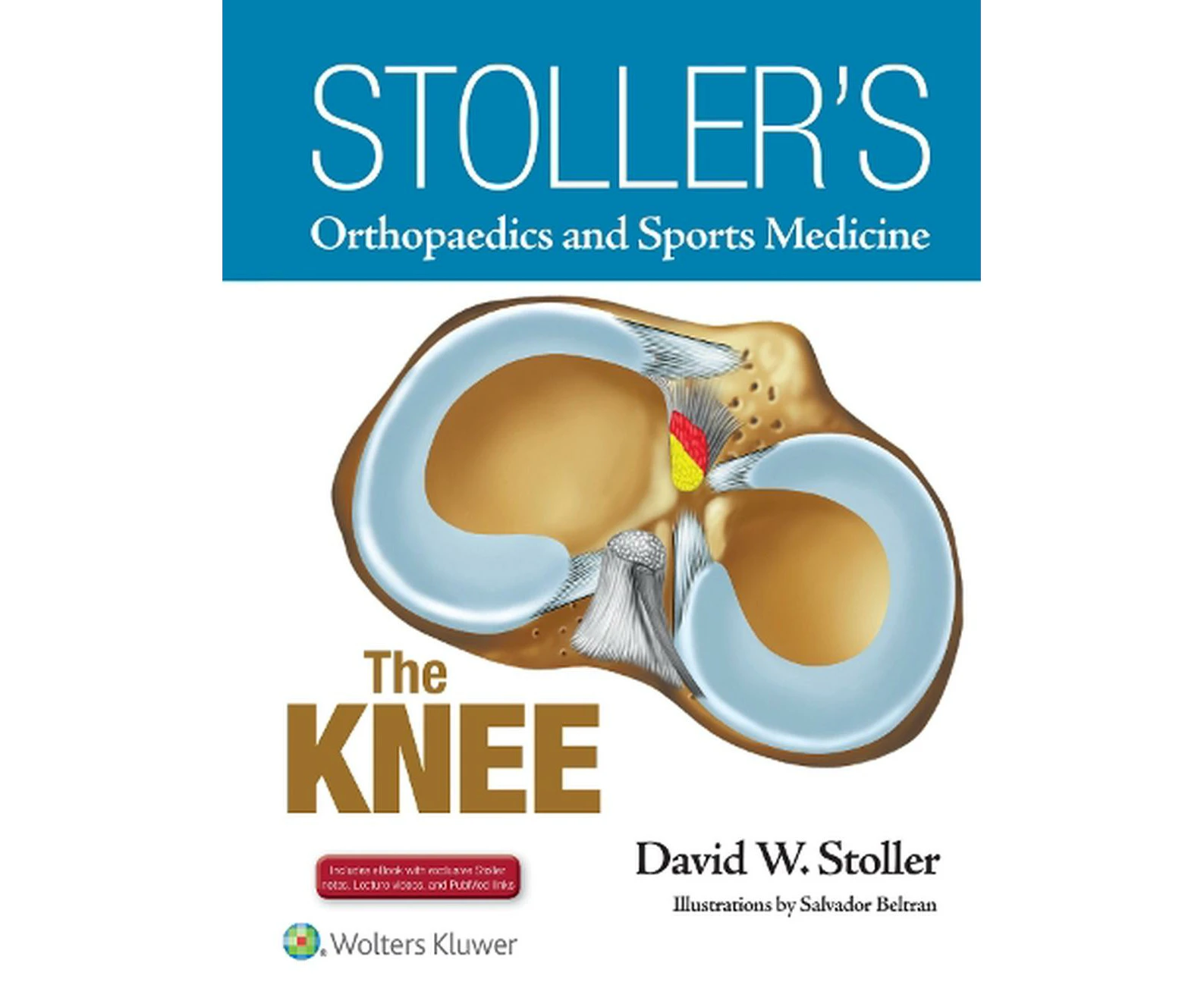 Stoller's Orthopaedics and Sports Medicine: The Knee