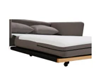 SHASA 2 Seater Pull-out Sofa bed Grey taupe