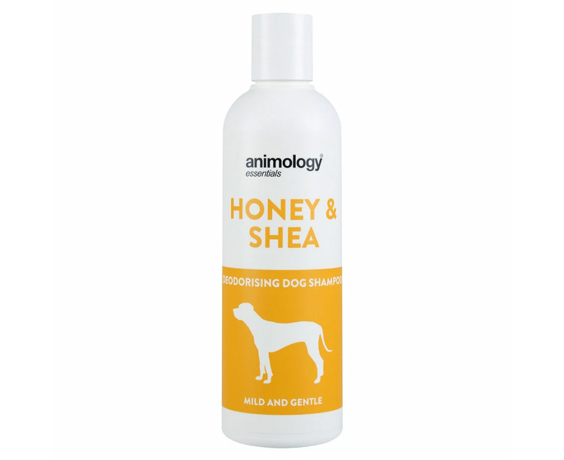 Animology Essentials Honey And Shea Shampoo 250ml