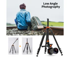 K&F CONCEPT S210 2M/78.7Inch Professional Photography Tripod Monopod Aluminum Alloy Camera Tripod Stand 10kg/22lbs Load Capacity with 360° Rotatable B