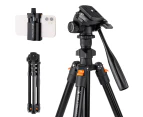 K&F CONCEPT Portable Camera Tripod Stand Aluminum Alloy 162cm/63.8in Max. Height 3kg/6.6lbs Load Capacity Photography Travel Tripod with Phone Holder