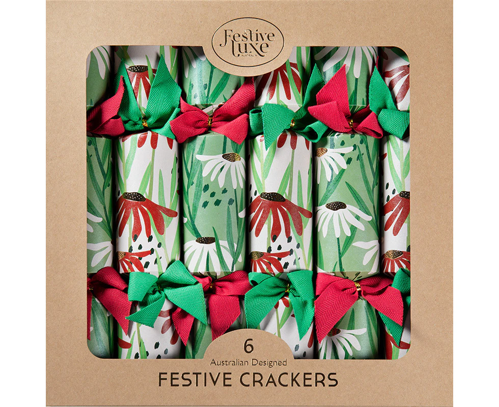 Whoops a Daisy Kraft Christmas Crackers 6pk