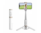 Bluetooth Wireless Handheld Selfie Stick Tripod Extendable Monopod With Remote- Usb Rechargeable