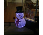 Stockholm 85CM Christmas Lights 50 LED Motif Lights Snowman Cool White