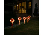 Stockholm 50CM Christmas Lights 72 LED Path Lights 6PCS Lollipop Warm White