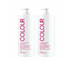 Hi Lift Colour Protect Shampoo & Conditioner 1 Litre Duo