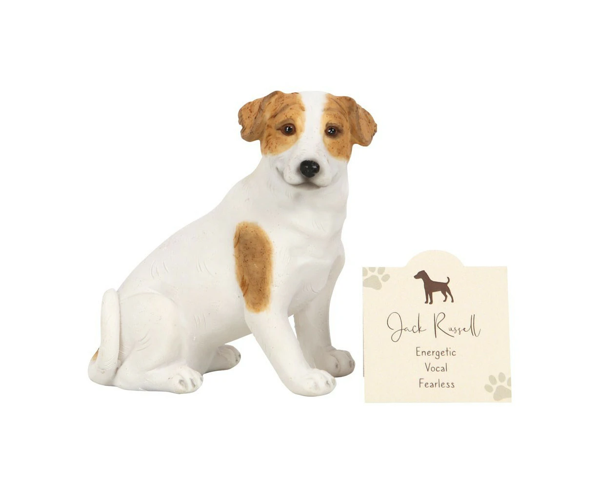 Something Different Jack Russell Terrier Ornament (White) - SD4771