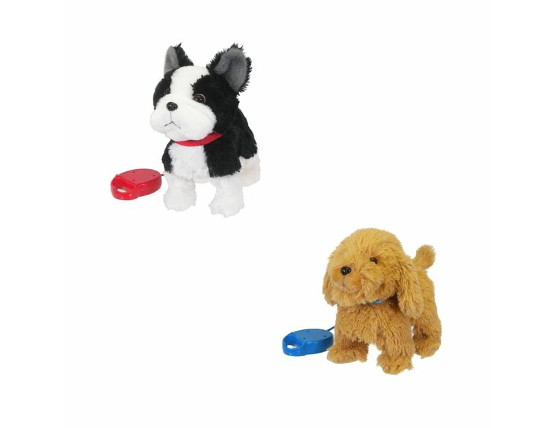 Walking Dog on Lead, Assorted - Anko