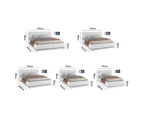 ALFORDSON Bed Frame Queen Double King Single RGB LED Gas Lift Storage Base Boucle