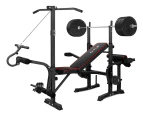 BLACK LORD Weight Bench Fitness Multi-Station Home Gym Equipment