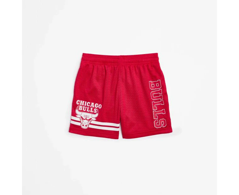 Chicago Bulls Mesh Basketball Shorts