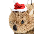 Wombat Australian Native Wildlife Christmas Hanging Decoration - 80mm