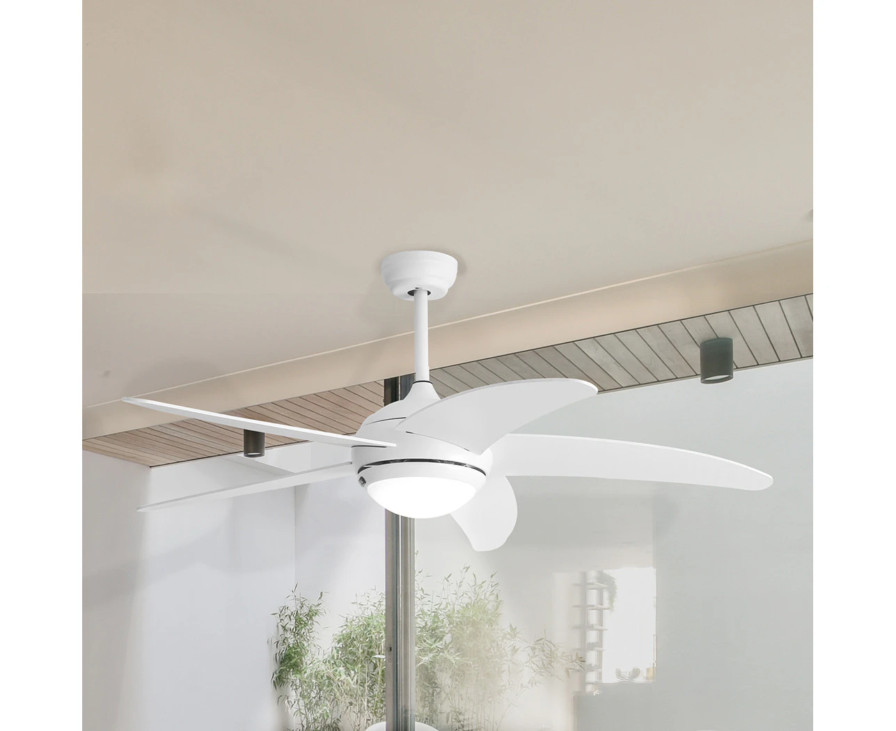 Spector Ceiling Fan 52'' DC Motor Wood Blades LED Light Remote Control 5 Speed