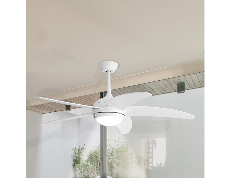 Spector Ceiling Fan 52'' DC Motor Wood Blades LED Light Remote Control 5 Speed