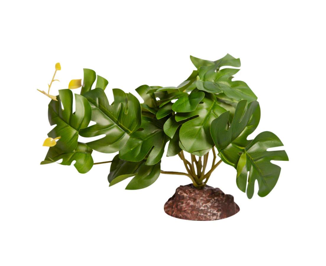 Reptile One Plant Md Rhaphidophora Green With Ceramic Base 46847