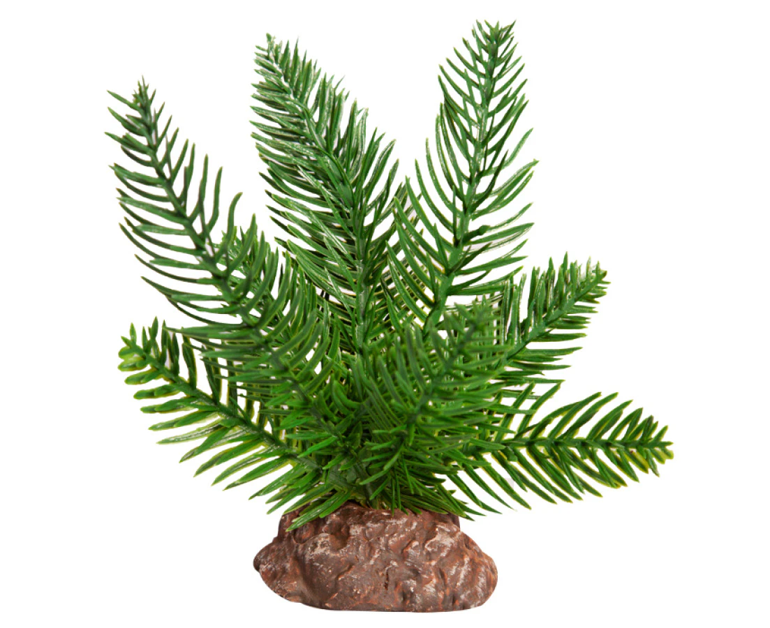 Reptile One Plant Sm Sago Palm Green With Ceramic Base 46841