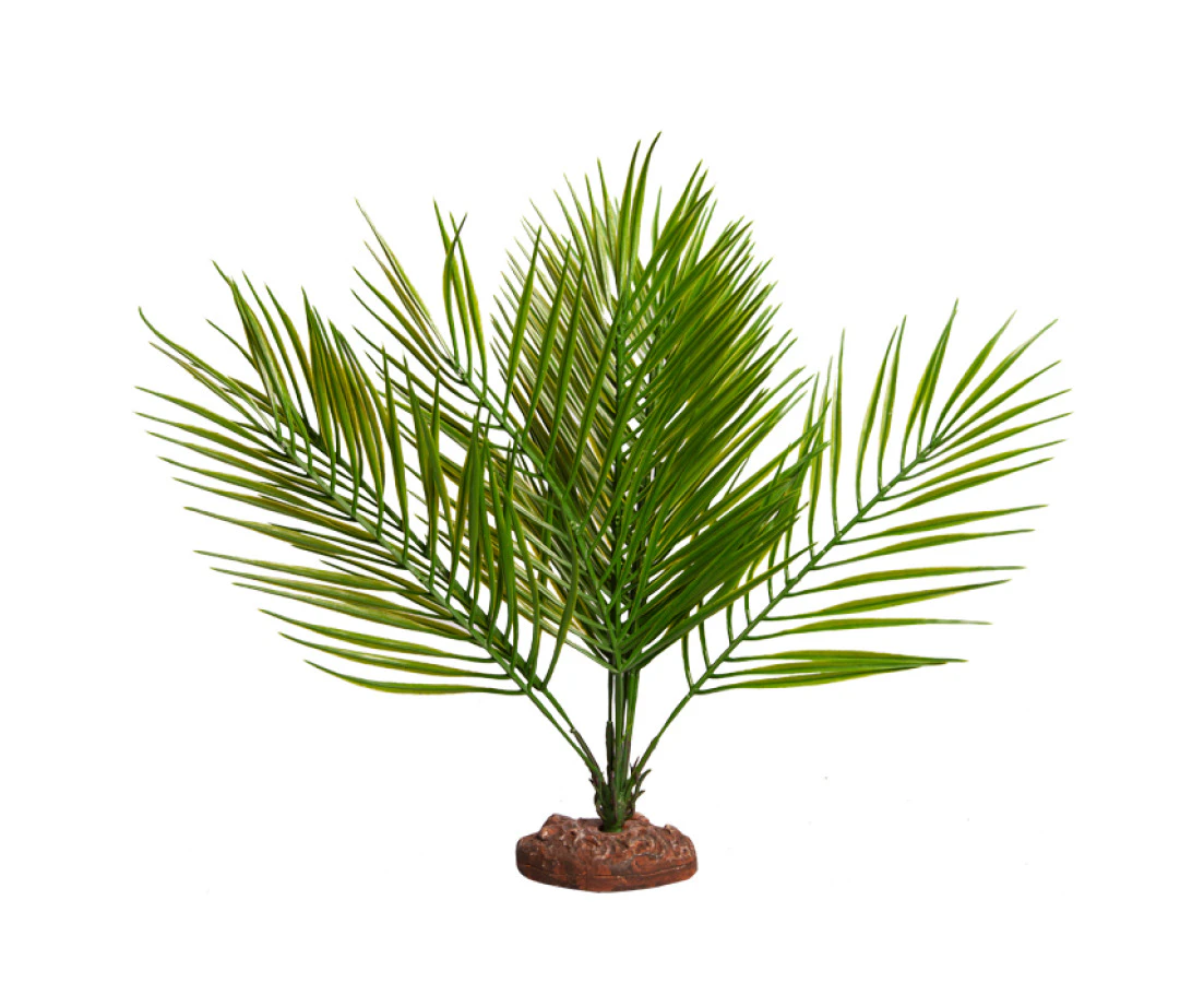 Reptile One Plant Lg Palor Palm Green With Ceramic Base 39cm 46856