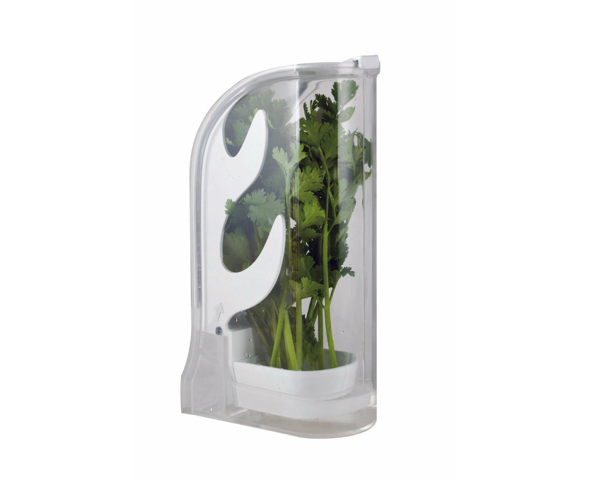 Kitchen Herb Saver Keeper for Fresh Produce Refrigerator Herbs Storage Container