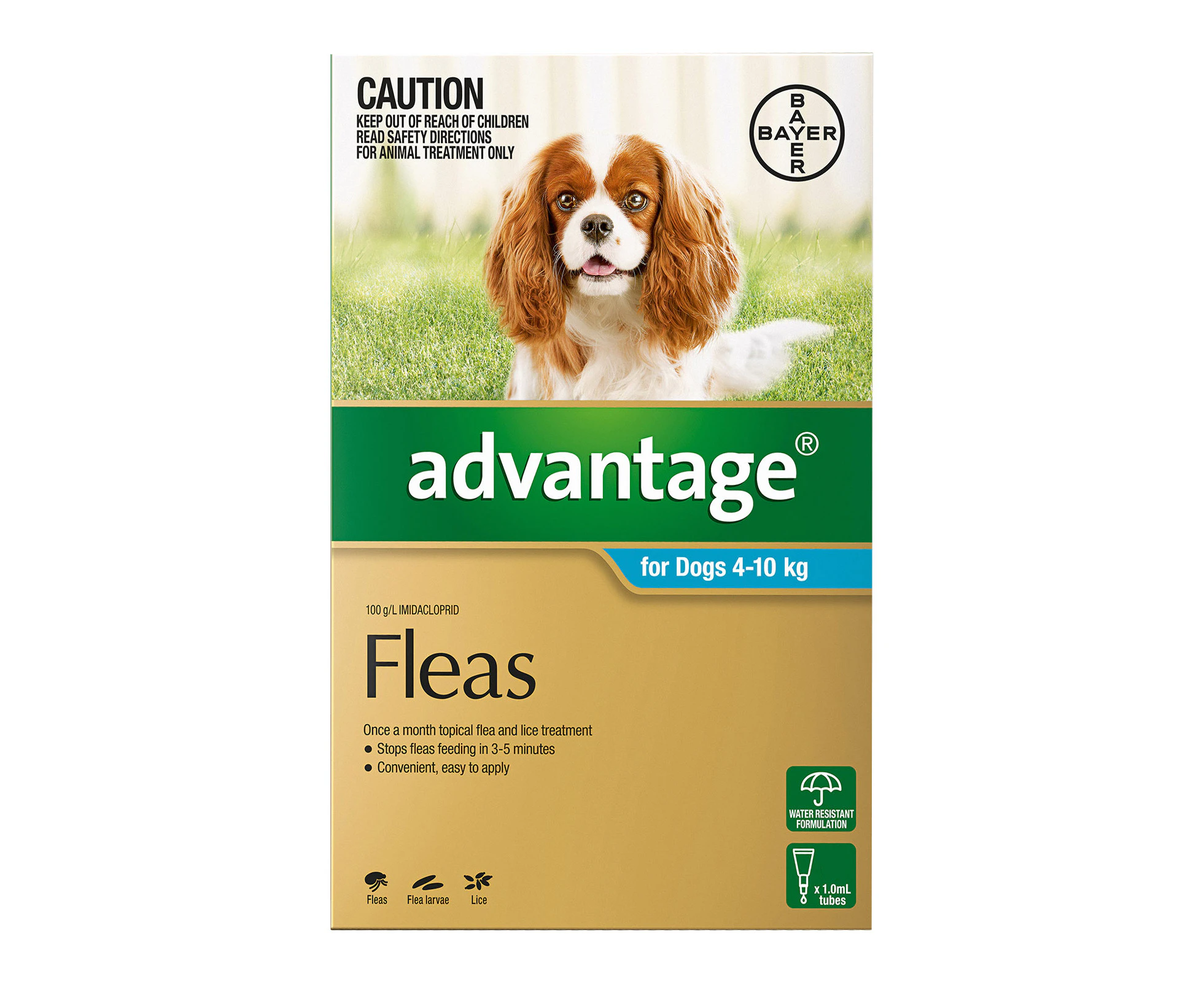 Advantage For Medium Dogs 4 To 10Kg (Aqua) 6 Pack