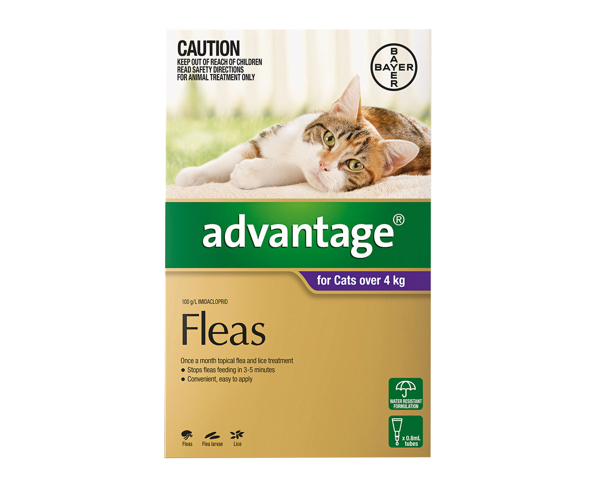 Advantage For Cats Over 4Kg (Purple) 12 Pack