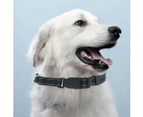 Petfamily Reflective Dog Collar, Adjustable Nylon Pet Collar with Durable Metal Buckle for Small Medium Large Dogs