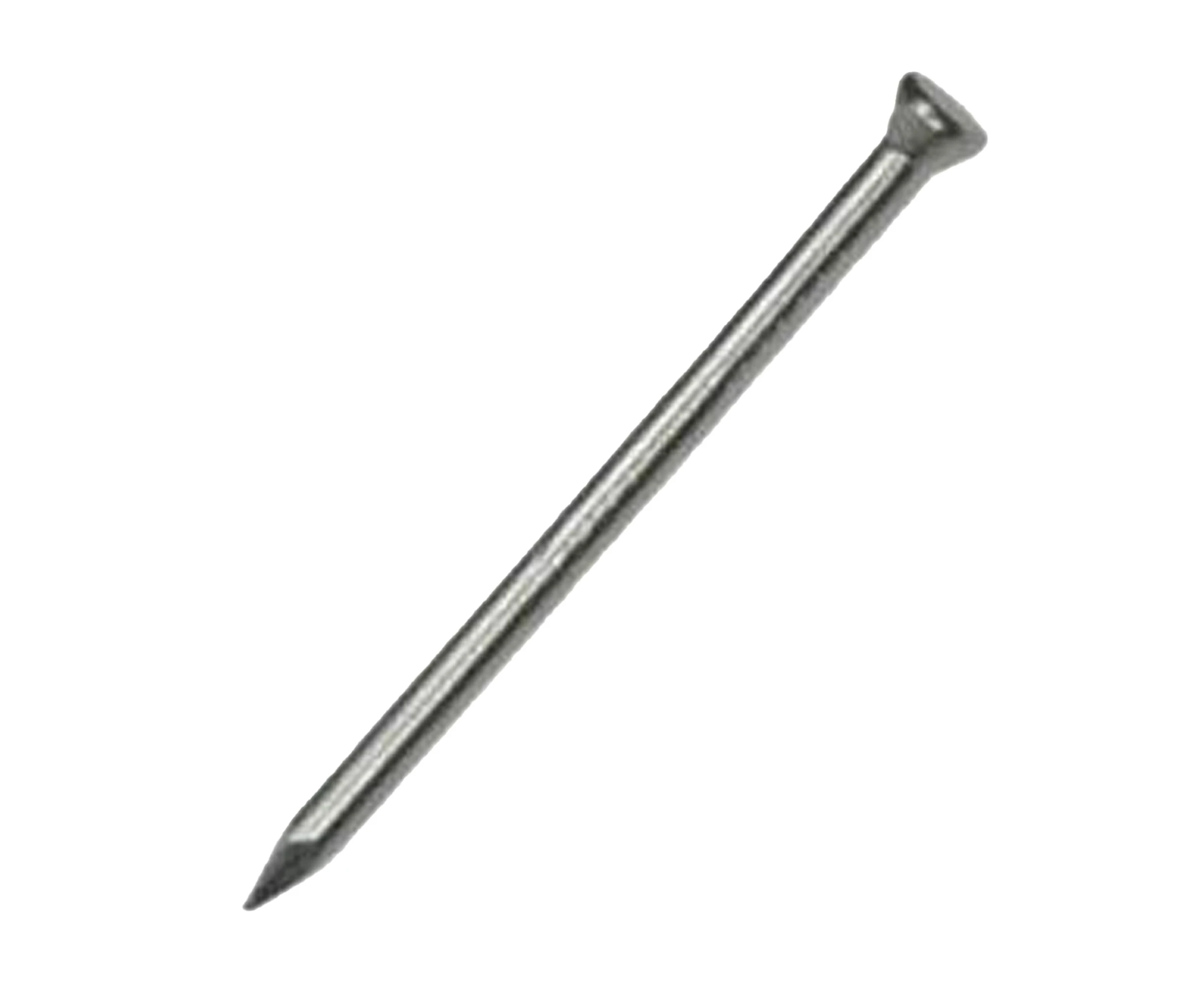 Securpak Pointed Panel Pin Nails (Silver) - ST7973