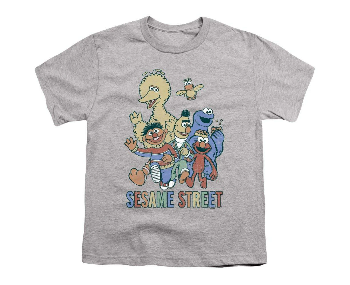 Sesame Street Childrens/Kids Colourful Group T-Shirt (Sports Grey) - TV2982