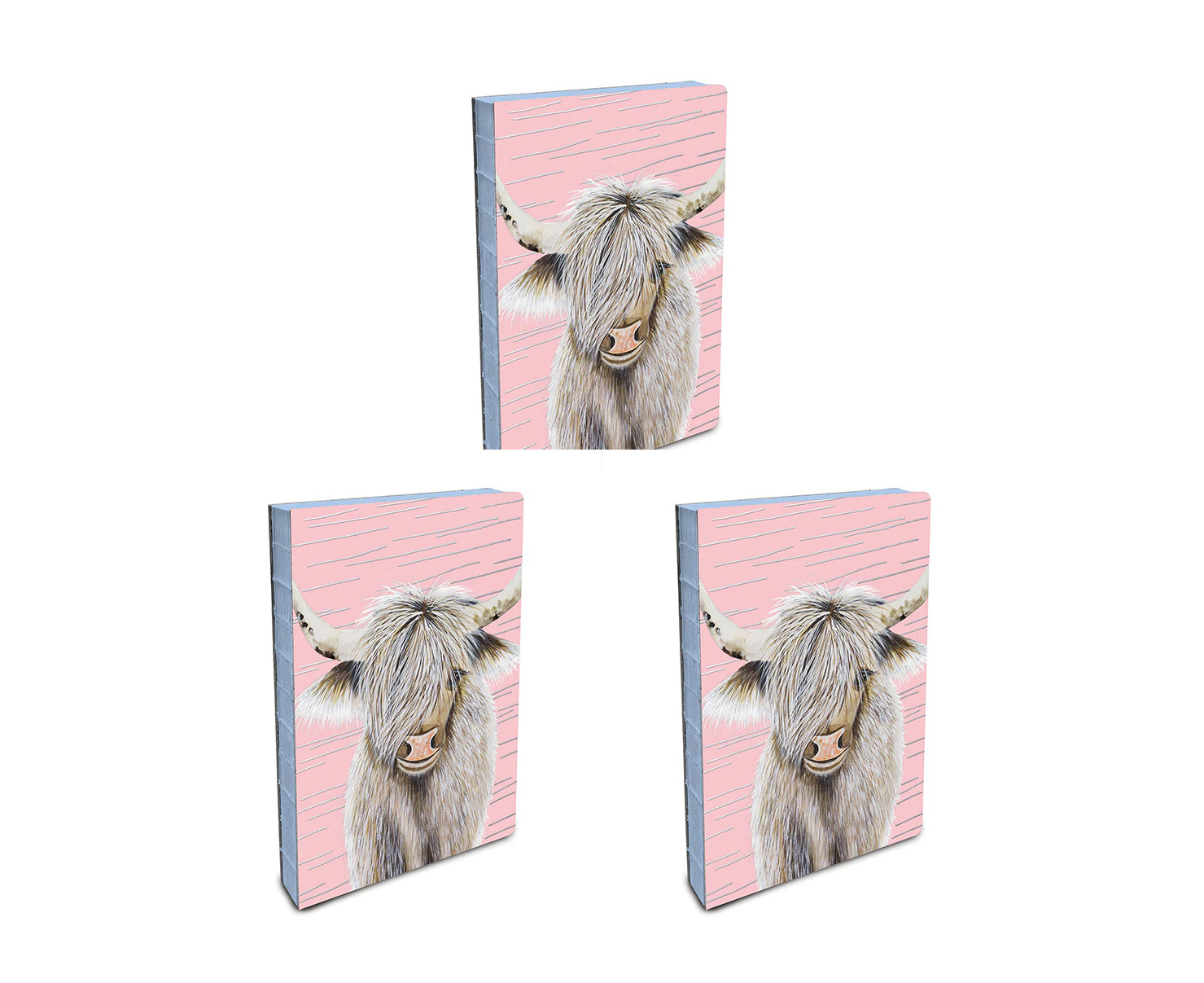 3x Studio Oh Coptic-Bound Journal/Notebook Writing Stationery Medium Beau Pink