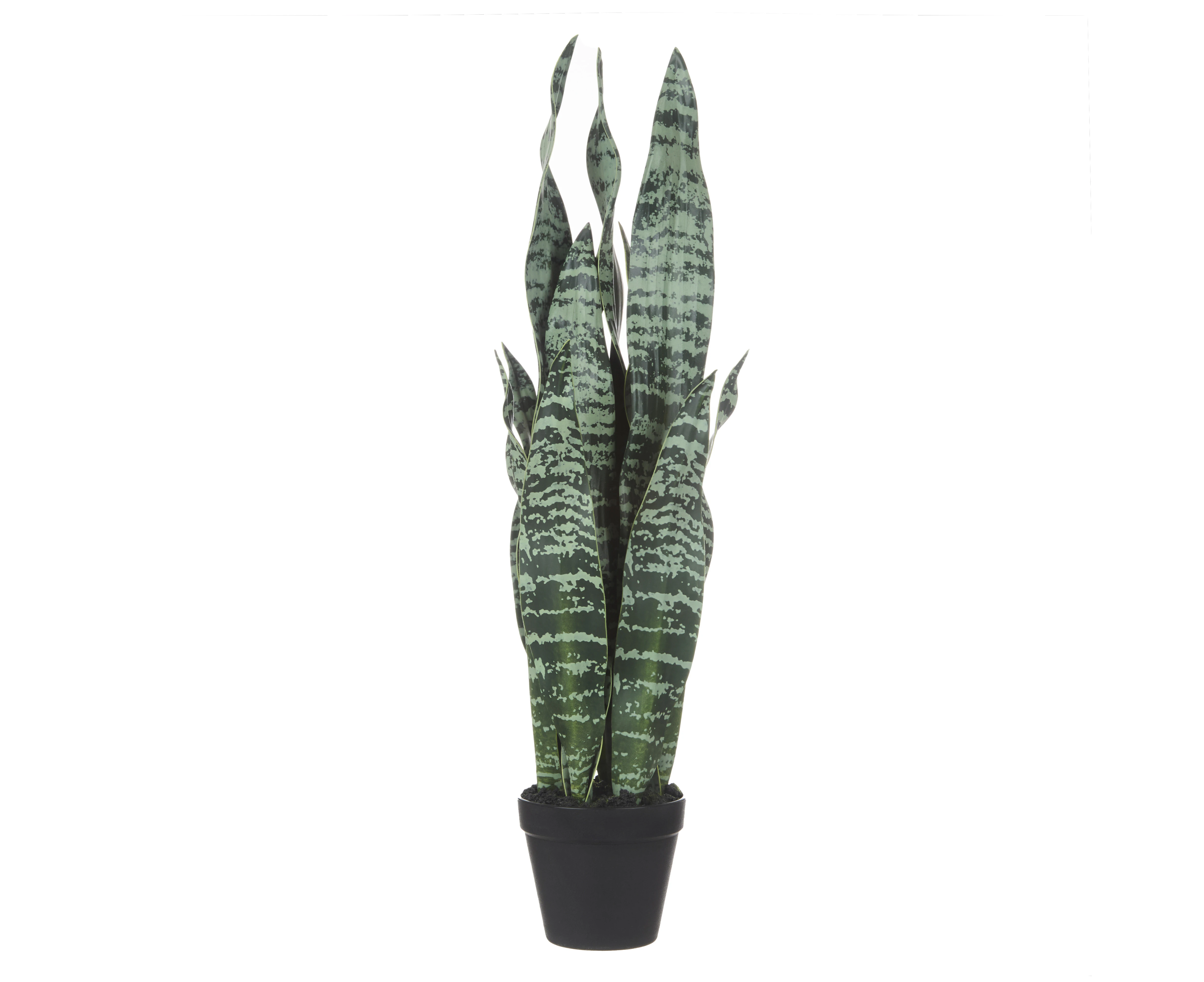 Rogue Artificial Sansevieria Plant in Pot Variegated Fake Succulent Potted Plant