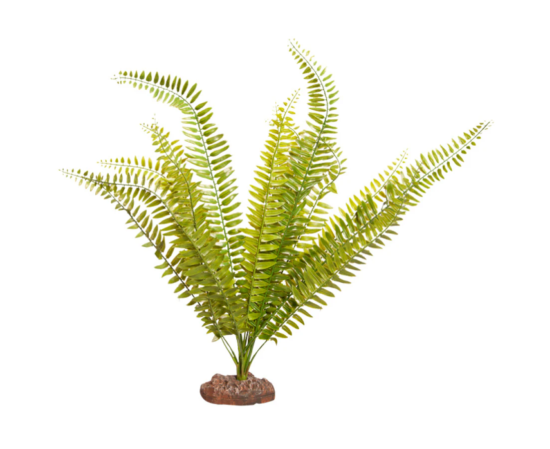 Reptile One Plant Large Fern Green w/ Ceramic Base 52cm (46855)