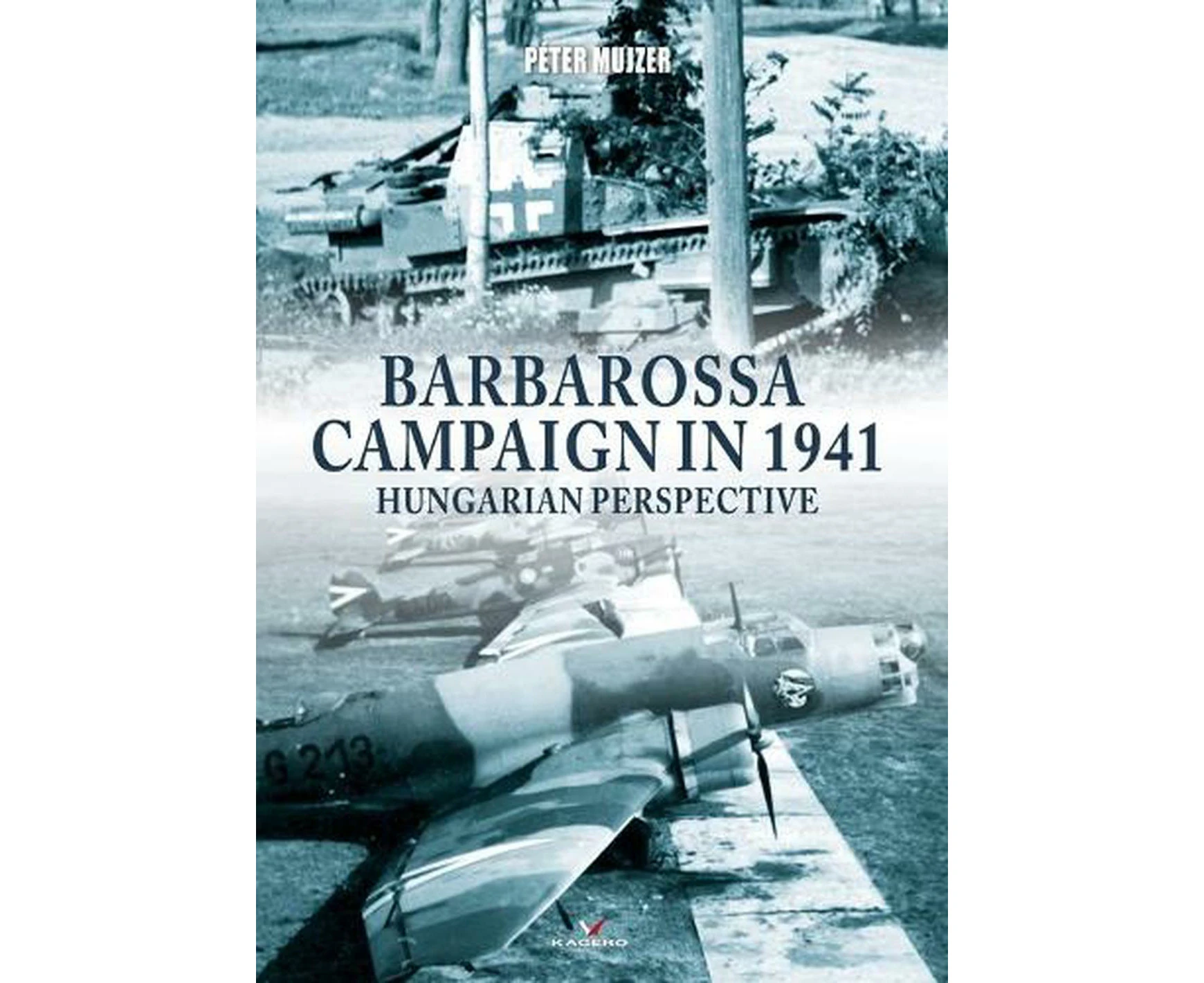 Barbarossa Campaign in 1941