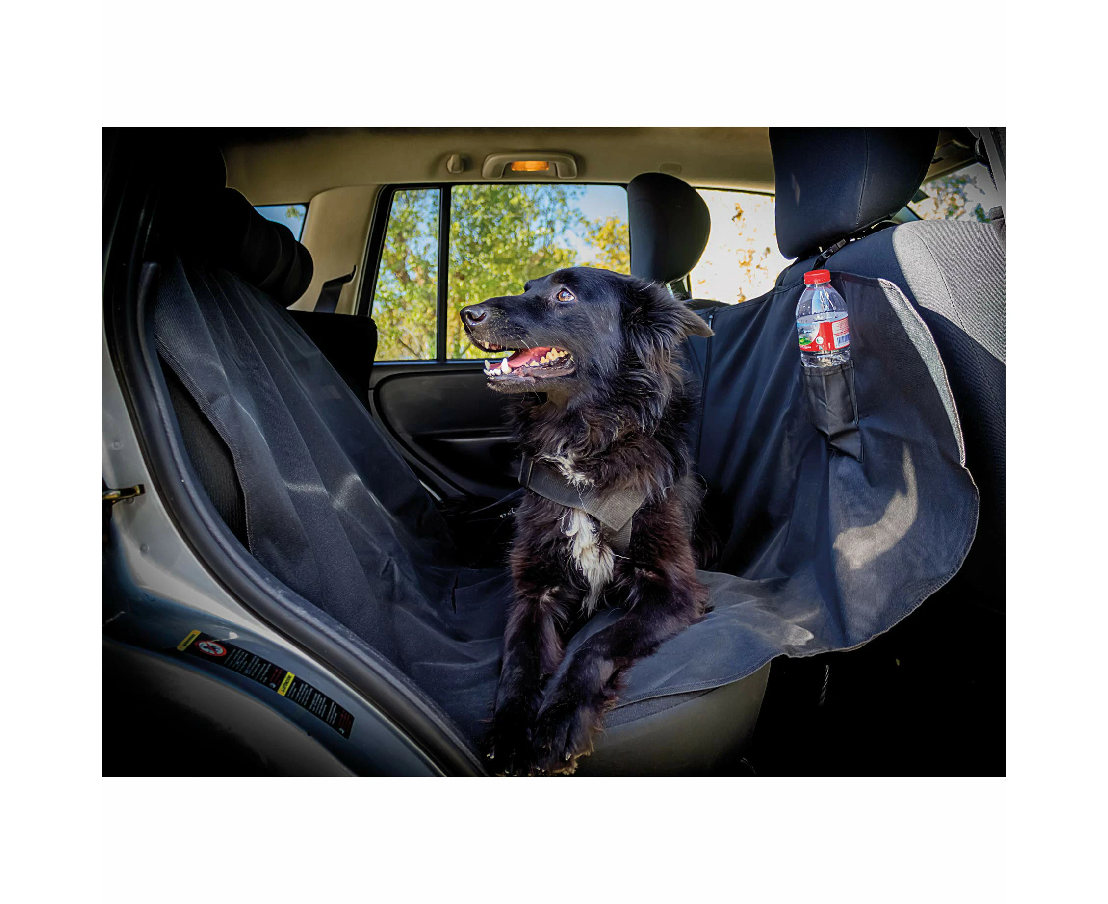 CAR+ DOGCOV1 Protective Seat Cover for Pets