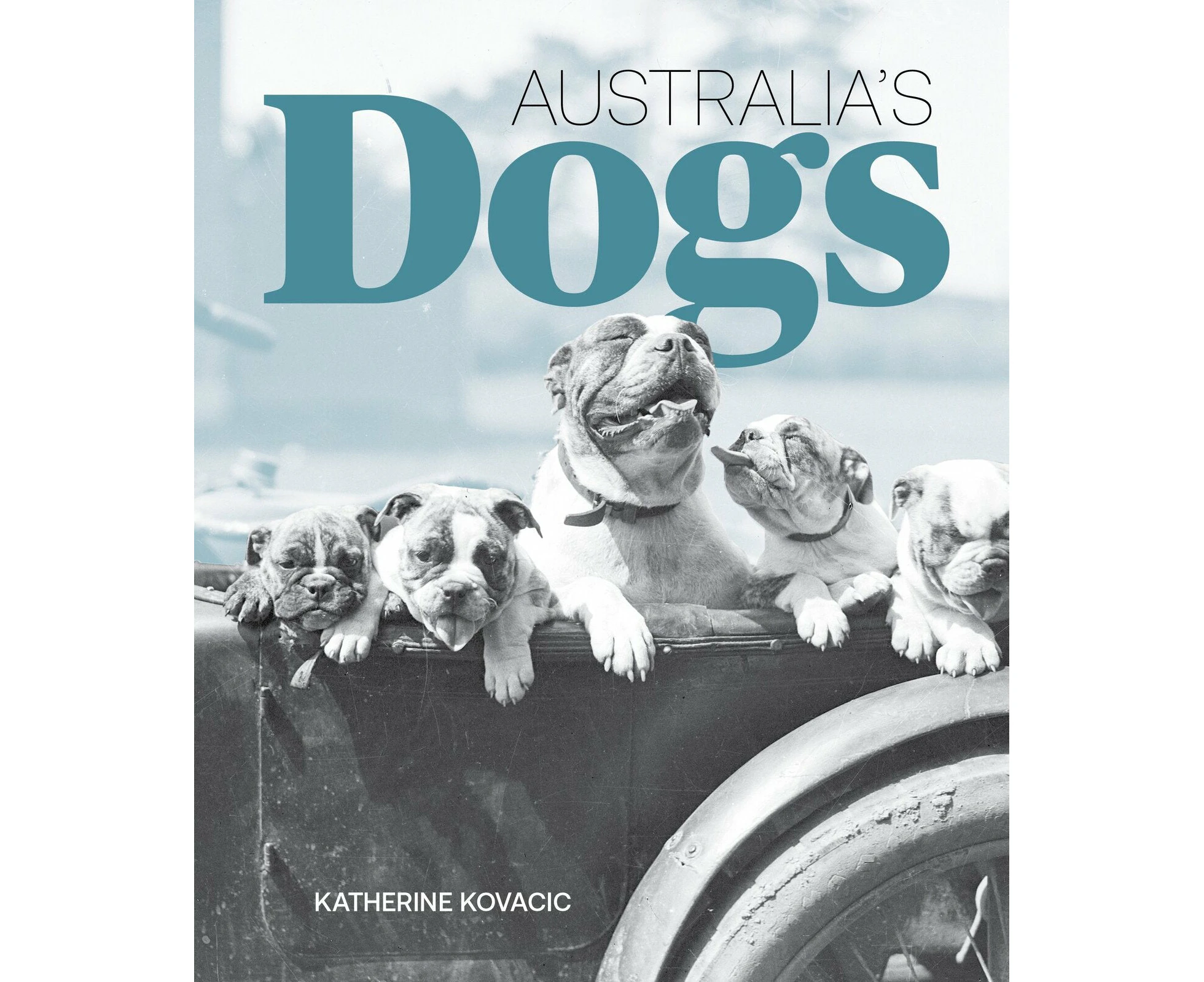 Australia's Dogs