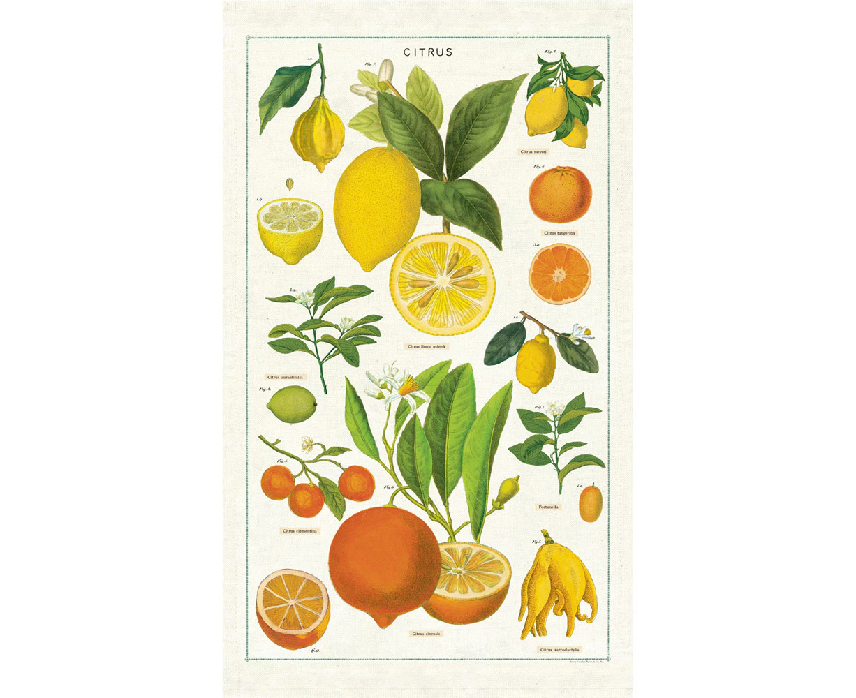 Cavallini Cotton Kitchen Tea Towel Soft Absorbent Dish Cloth 48x80cm Citrus