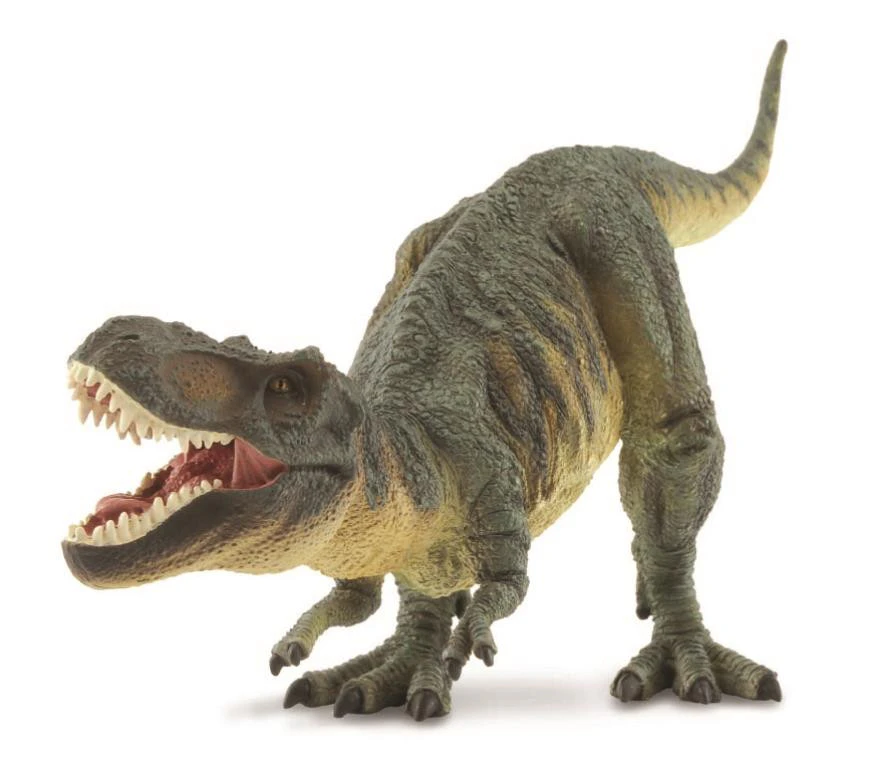 Collecta - T Rex