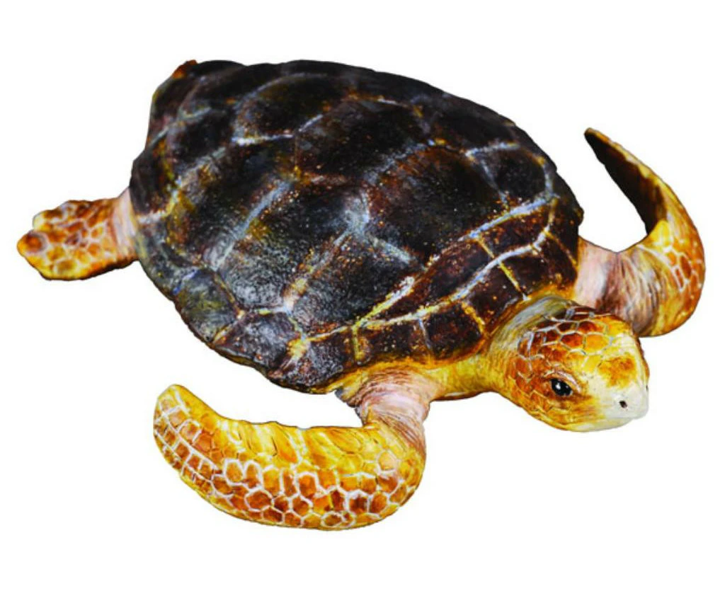 Collecta - Loggerhead Turtle